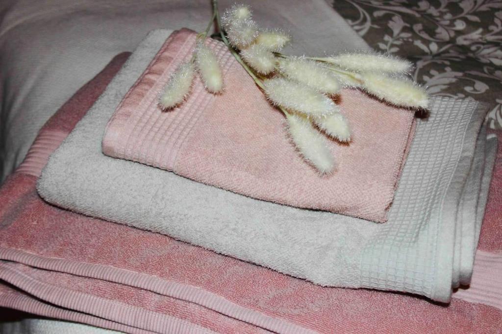 Apartamento El Picu Collanzo Екстериор снимка