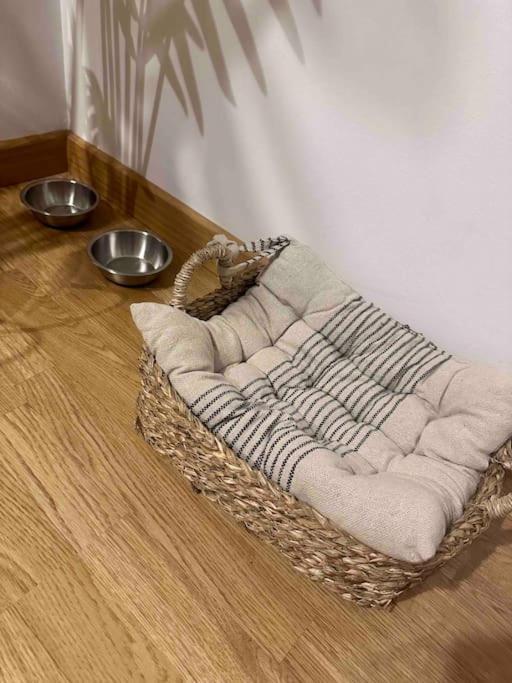 Apartamento El Picu Collanzo Екстериор снимка