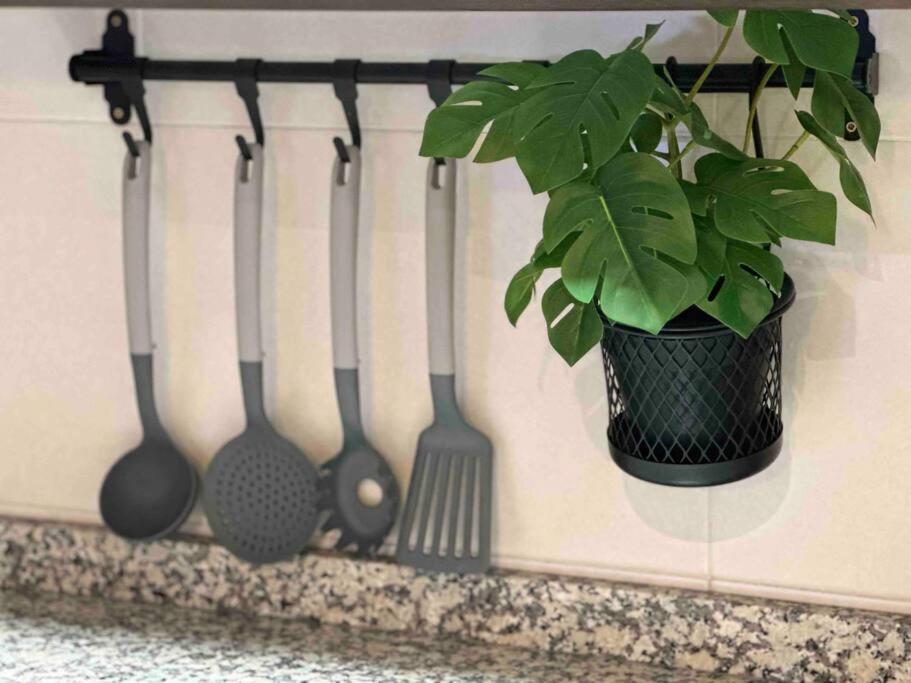 Apartamento El Picu Collanzo Екстериор снимка